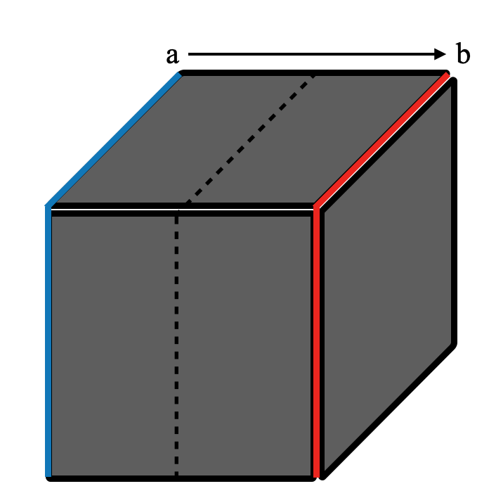 Necker Cubes